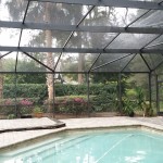 Pool Screen Cleaning Orlando